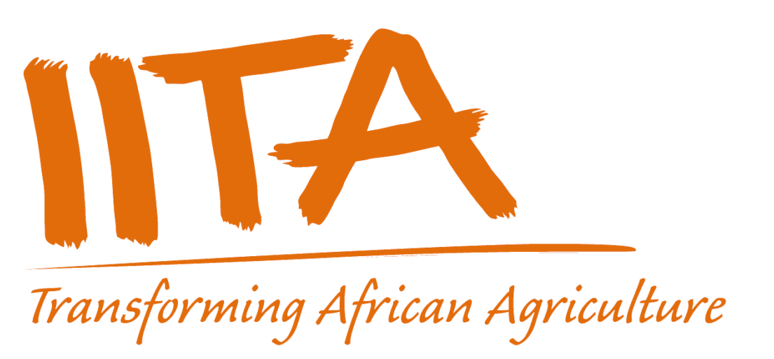 IITA e1730699882857 2